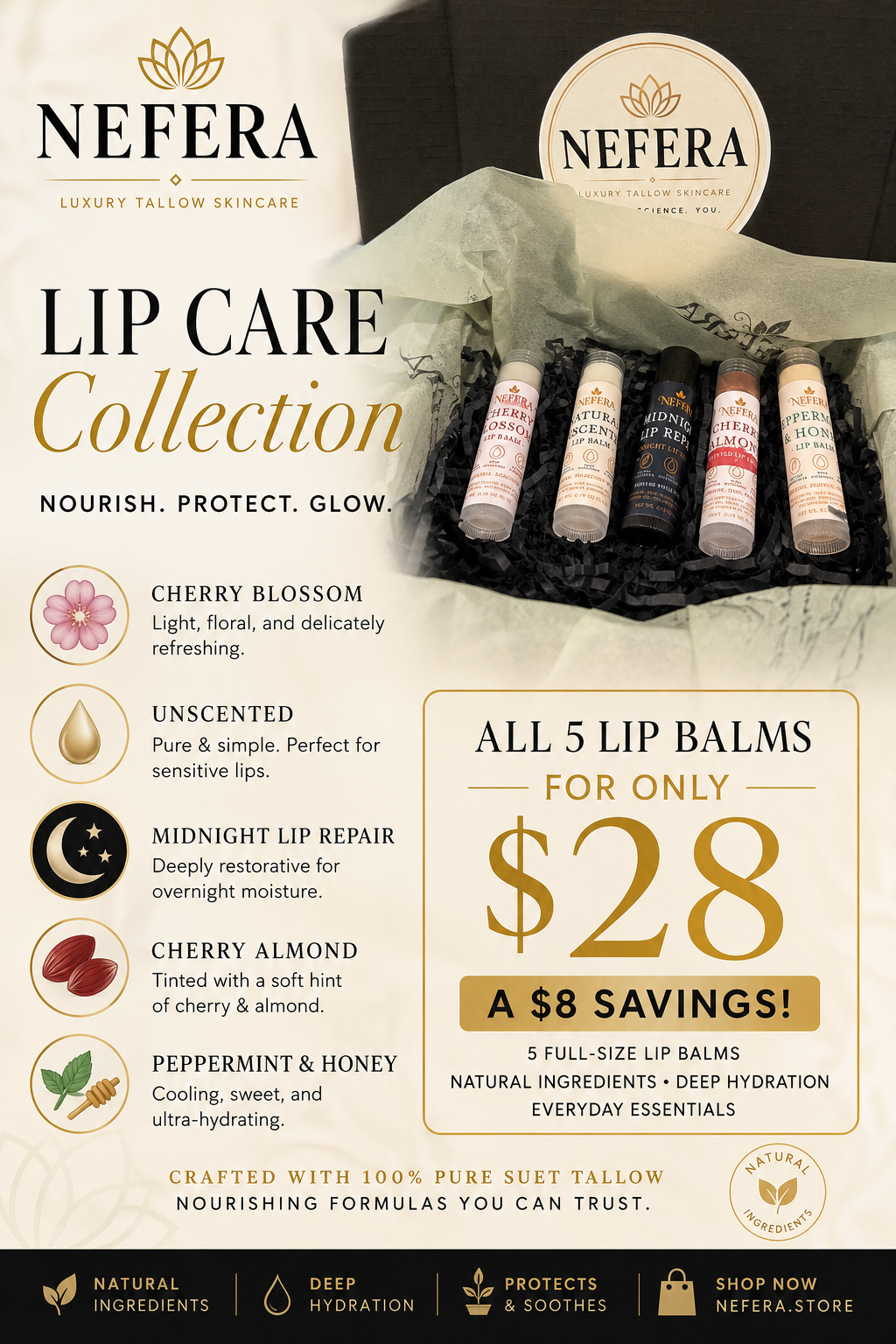 NEFERA Lip Care Collection